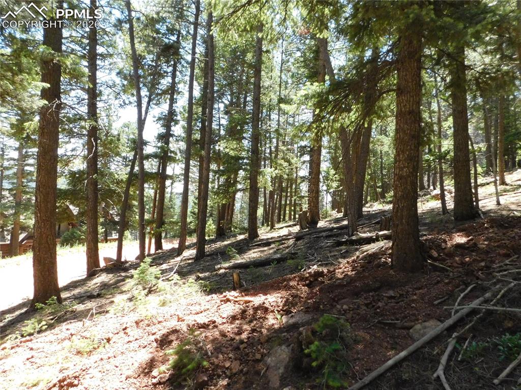 Lot 11 Woodmoor West Drive Larkspur CO 80118