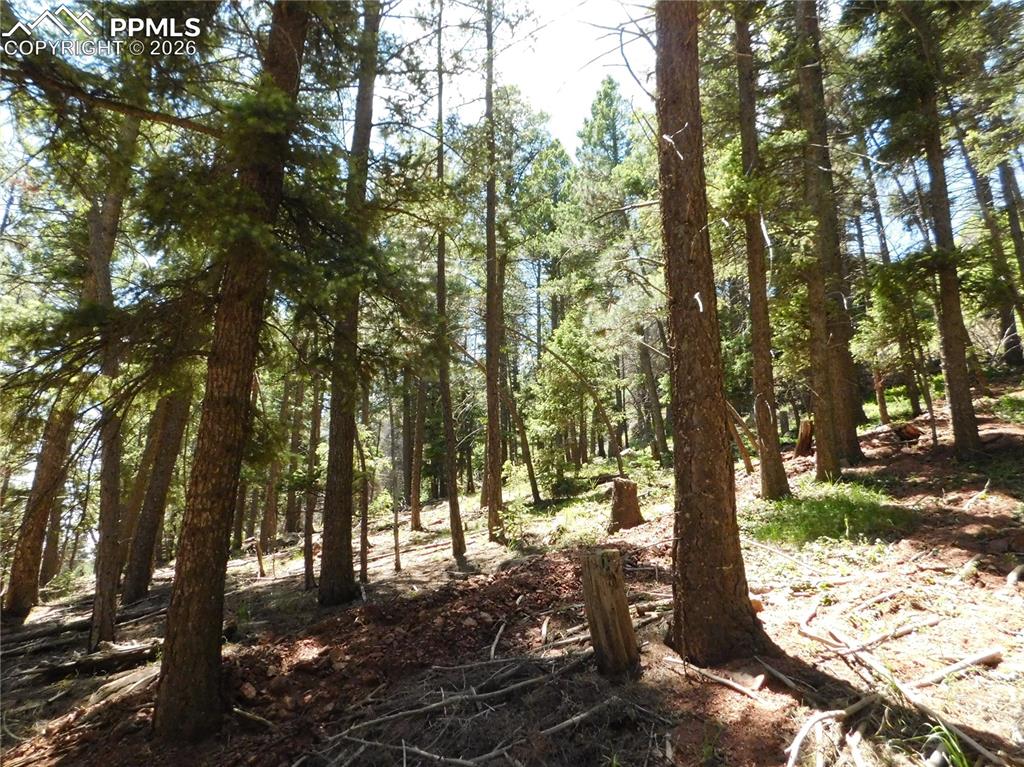 Lot 11 Woodmoor West Drive Larkspur CO 80118