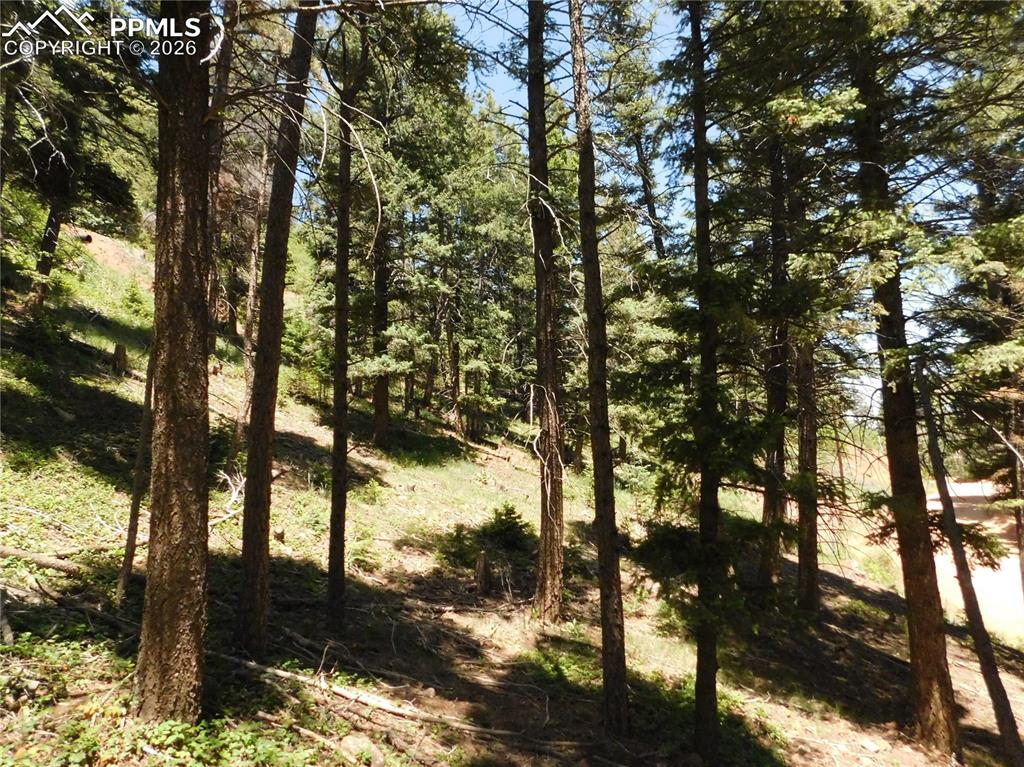 Lot 11 Woodmoor West Drive Larkspur CO 80118