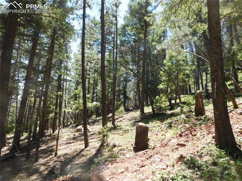 Lot 11 Woodmoor West Drive Larkspur CO 80118