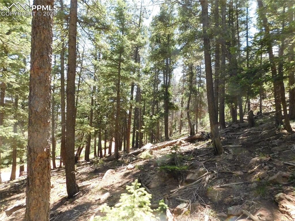 Lot 11 Woodmoor West Drive Larkspur CO 80118