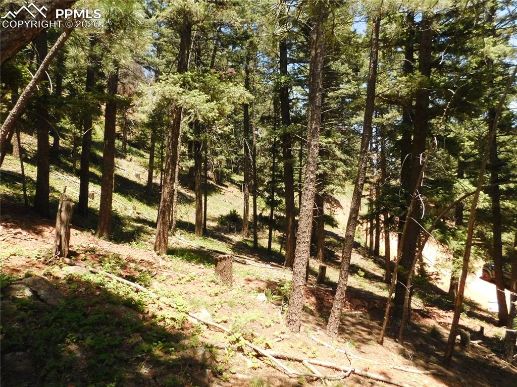 Lot 11 Woodmoor West Drive Larkspur CO 80118