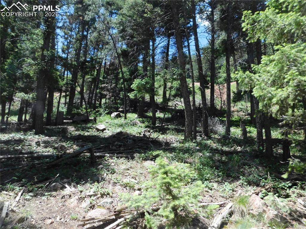 Lot 11 Woodmoor West Drive Larkspur CO 80118