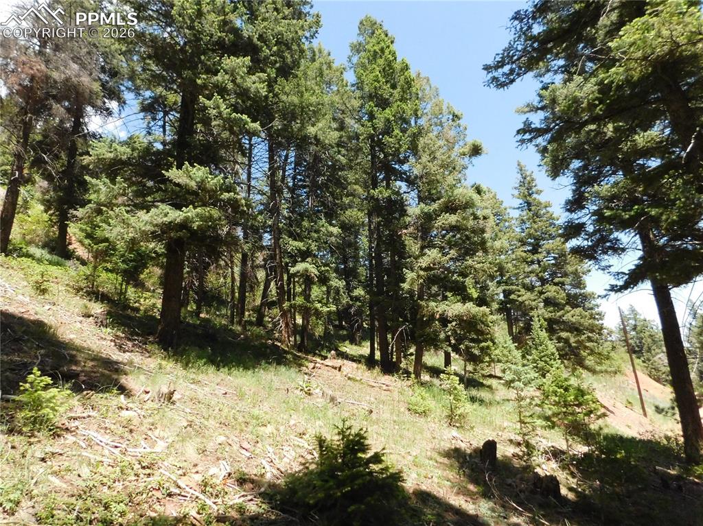 Lot 11 Woodmoor West Drive Larkspur CO 80118