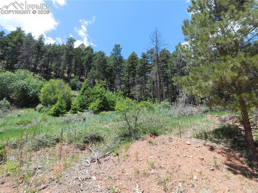 Lot 11 Woodmoor West Drive Larkspur CO 80118