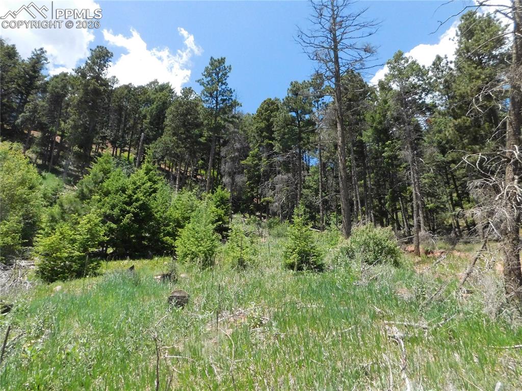 Lot 11 Woodmoor West Drive Larkspur CO 80118