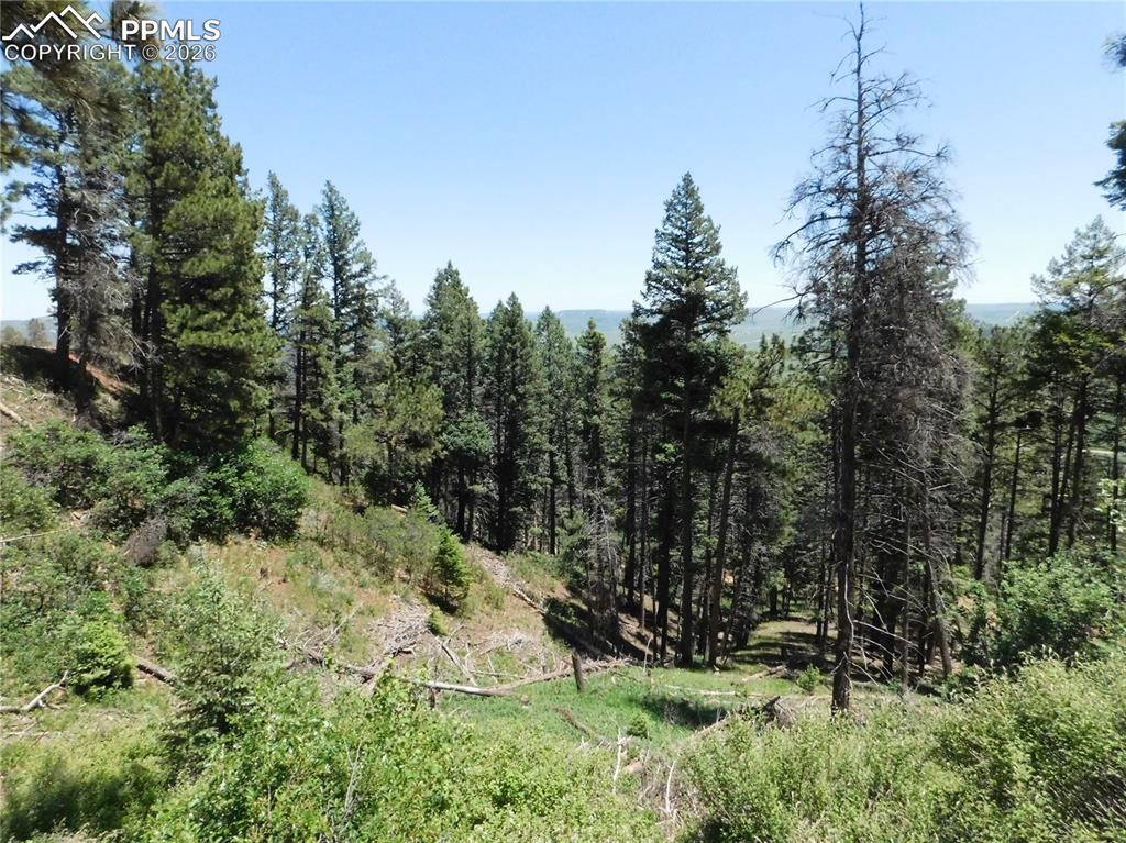 Lot 11 Woodmoor West Drive Larkspur CO 80118