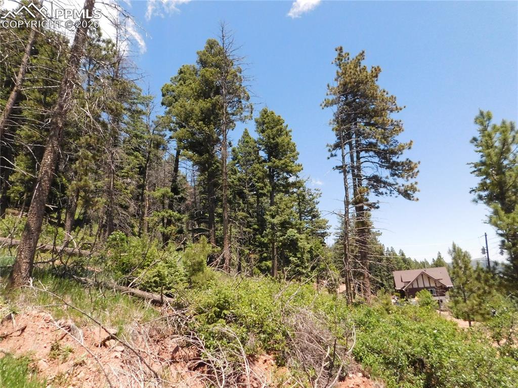 Lot 11 Woodmoor West Drive Larkspur CO 80118