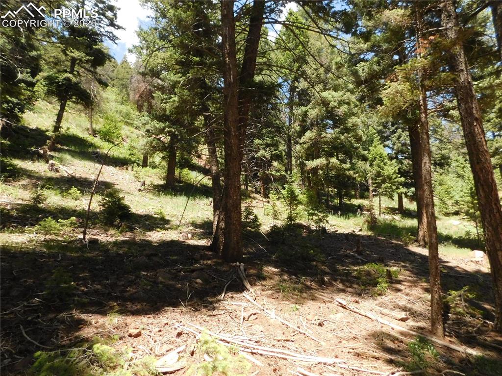 Lot 11 Woodmoor West Drive Larkspur CO 80118