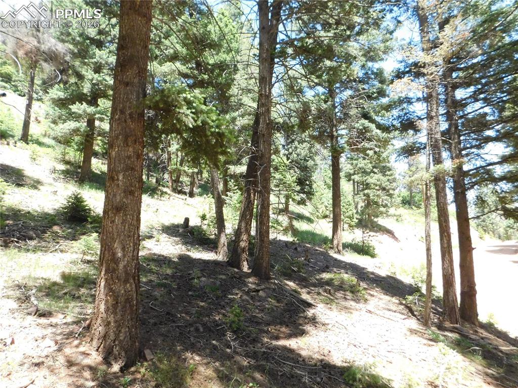 Lot 11 Woodmoor West Drive Larkspur CO 80118