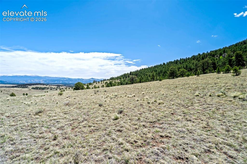 0 Roan Trail Guffey CO 80820