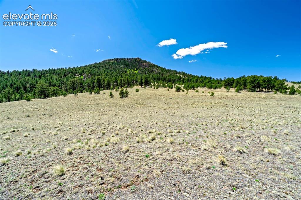 0 Roan Trail Guffey CO 80820