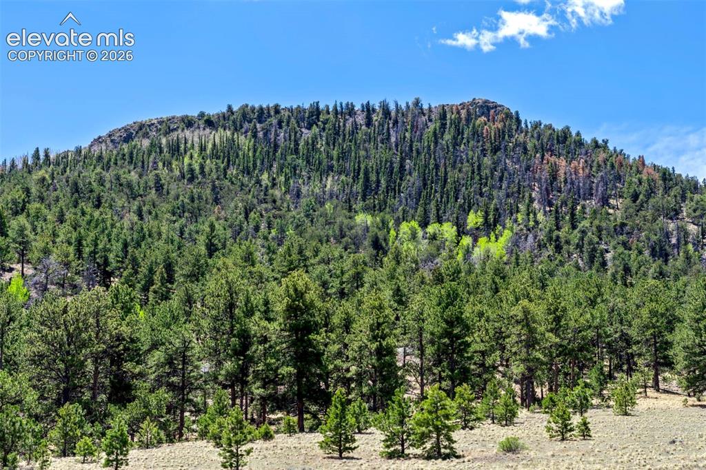 0 Roan Trail Guffey CO 80820