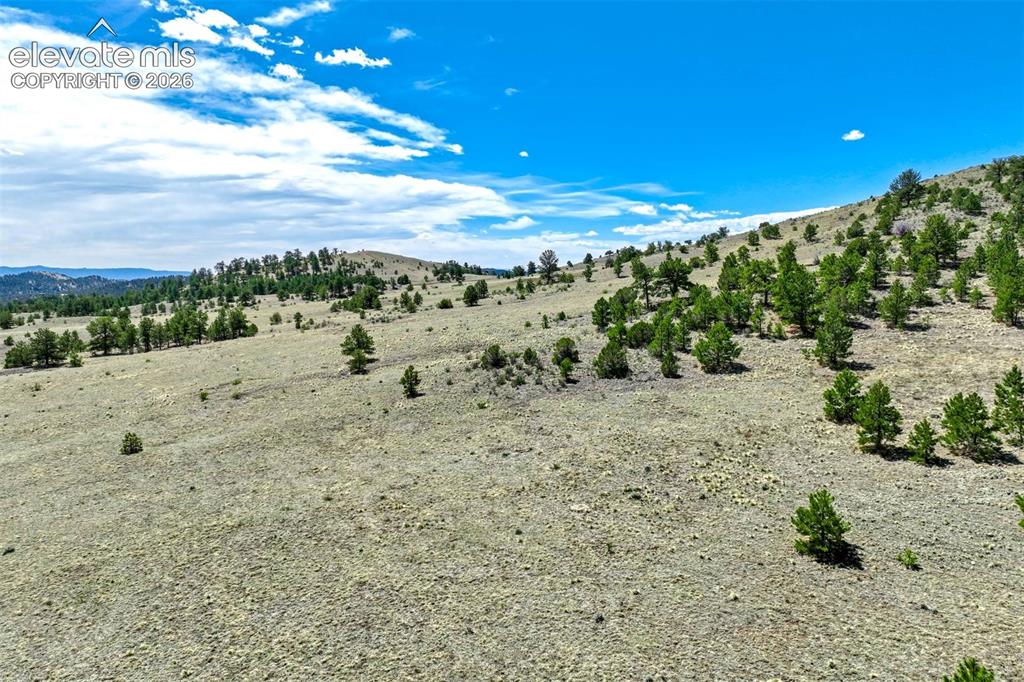 0 Roan Trail Guffey CO 80820