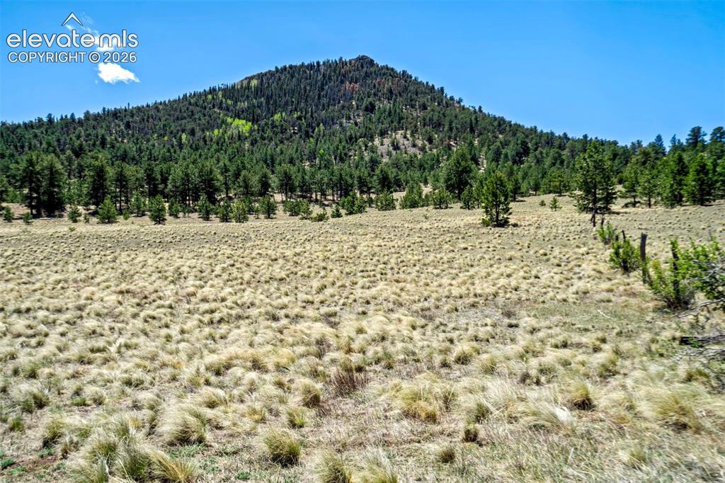 0 Roan Trail Guffey CO 80820
