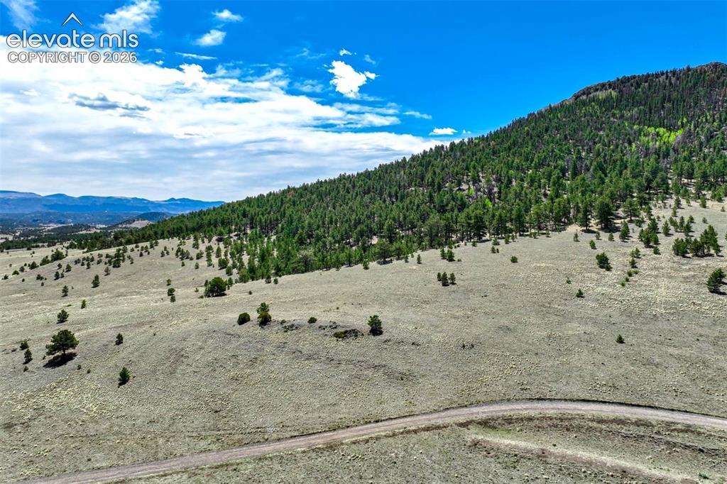 0 Roan Trail Guffey CO 80820