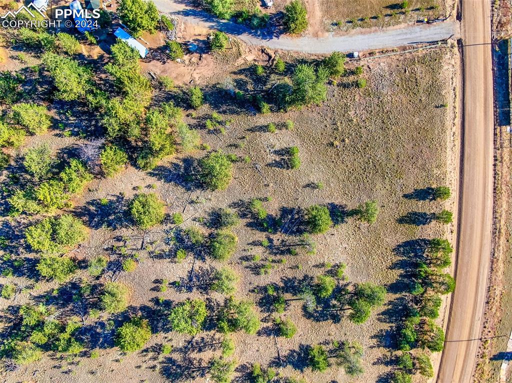 4397 Elkhorn Road Hartsel CO 80449