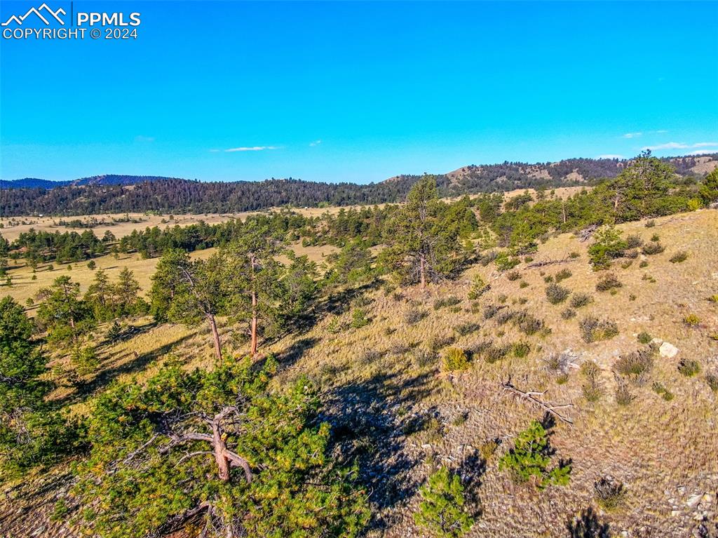 4397 Elkhorn Road Hartsel CO 80449