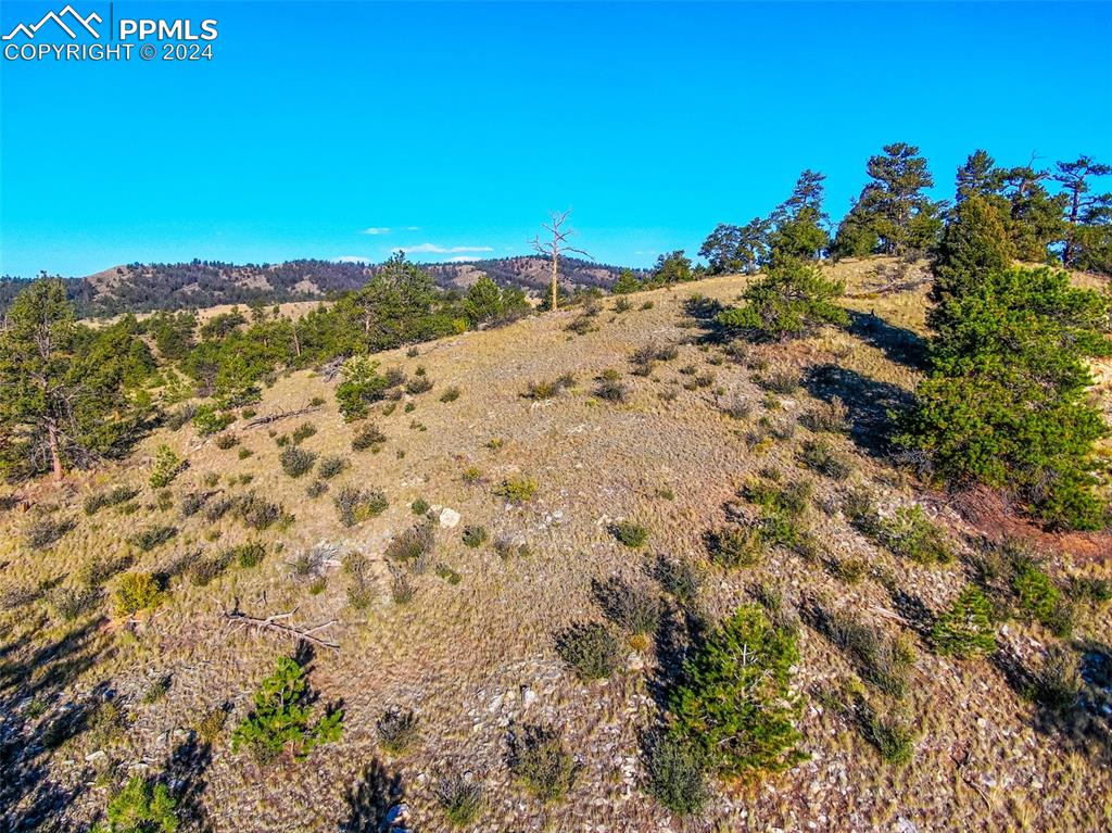 4397 Elkhorn Road Hartsel CO 80449