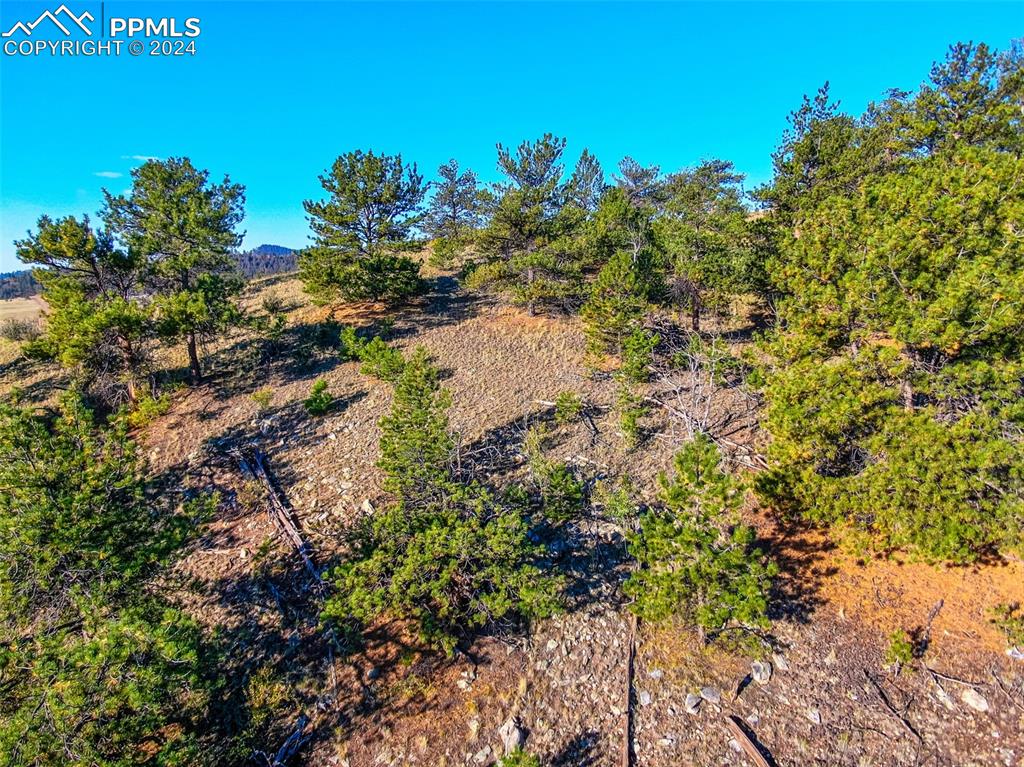 4397 Elkhorn Road Hartsel CO 80449