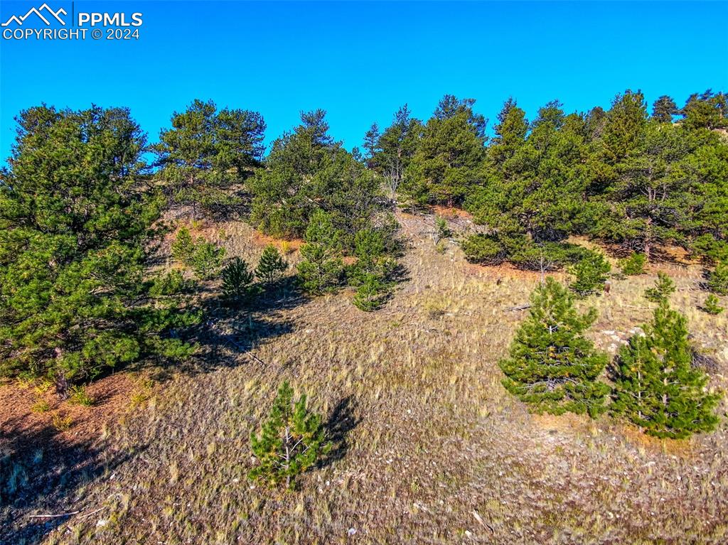 4397 Elkhorn Road Hartsel CO 80449