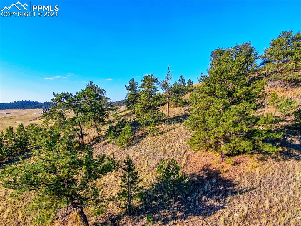 4397 Elkhorn Road Hartsel CO 80449