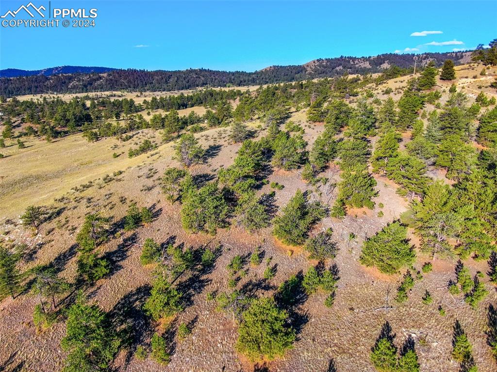 4397 Elkhorn Road Hartsel CO 80449