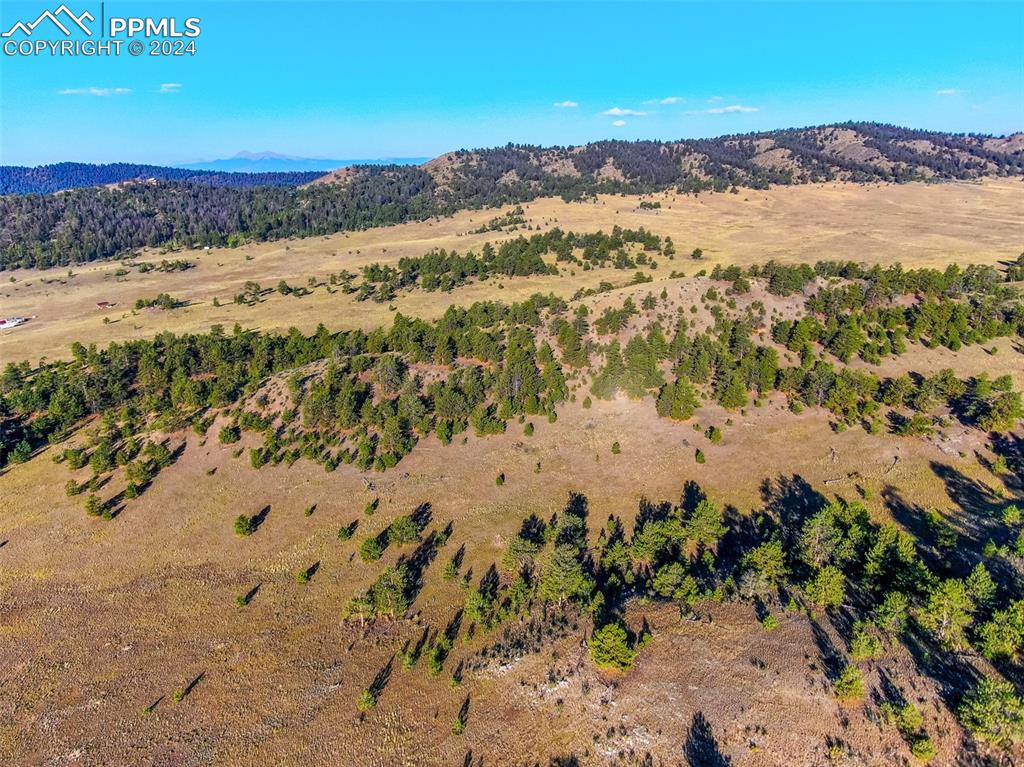 4397 Elkhorn Road Hartsel CO 80449