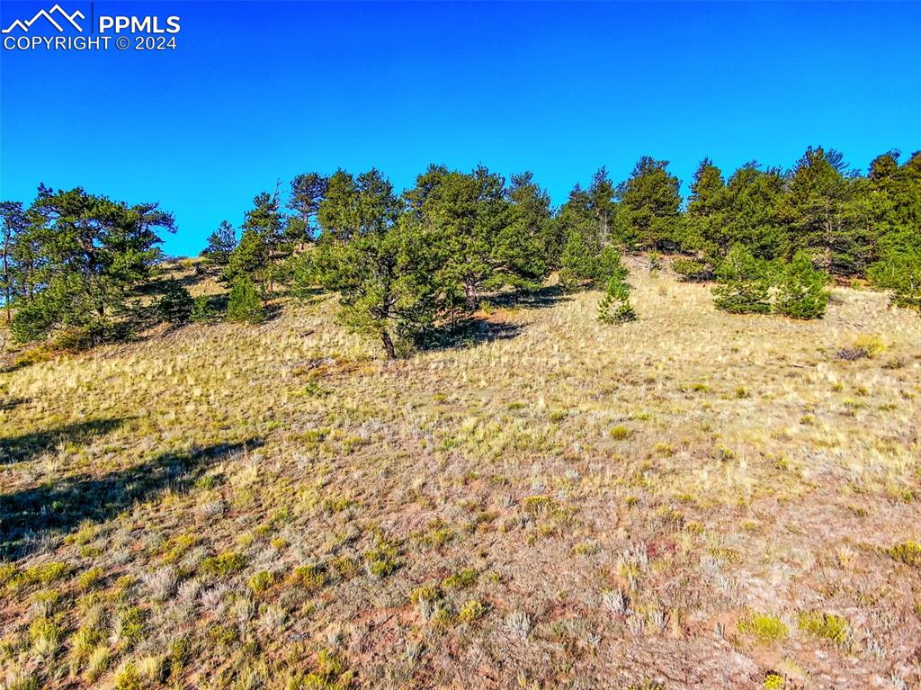 4397 Elkhorn Road Hartsel CO 80449