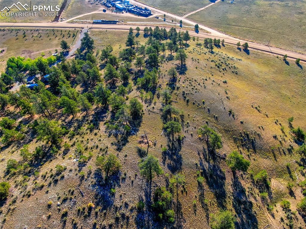 4397 Elkhorn Road Hartsel CO 80449