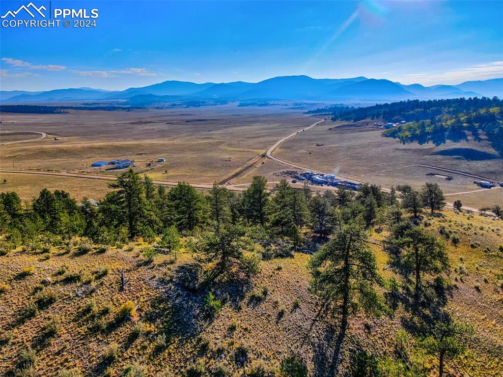 4397 Elkhorn Road Hartsel CO 80449