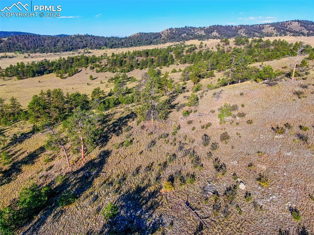 4397 Elkhorn Road Hartsel CO 80449