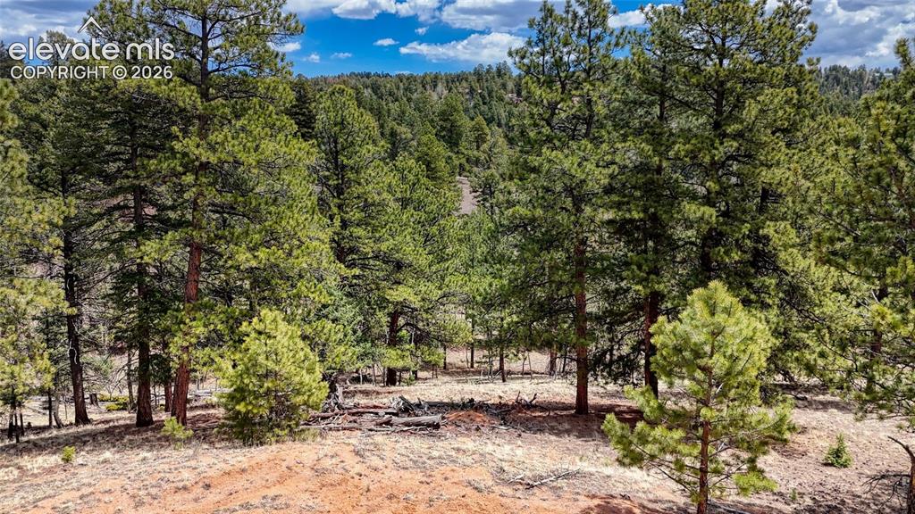16 View Circle Florissant CO 80816