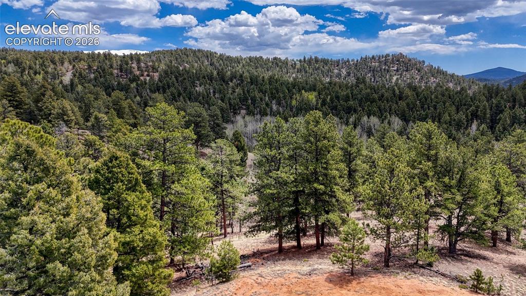 16 View Circle Florissant CO 80816