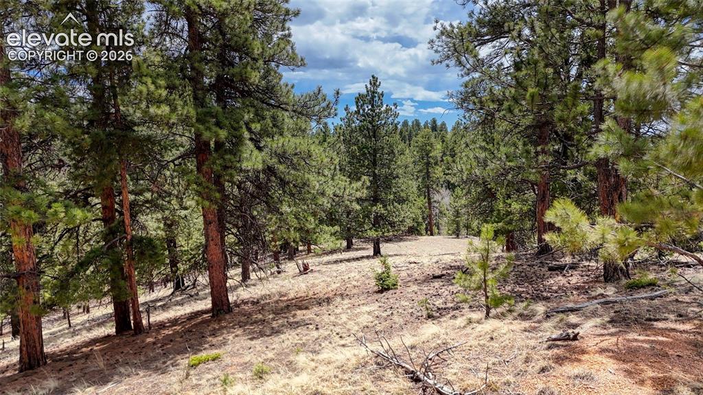 16 View Circle Florissant CO 80816