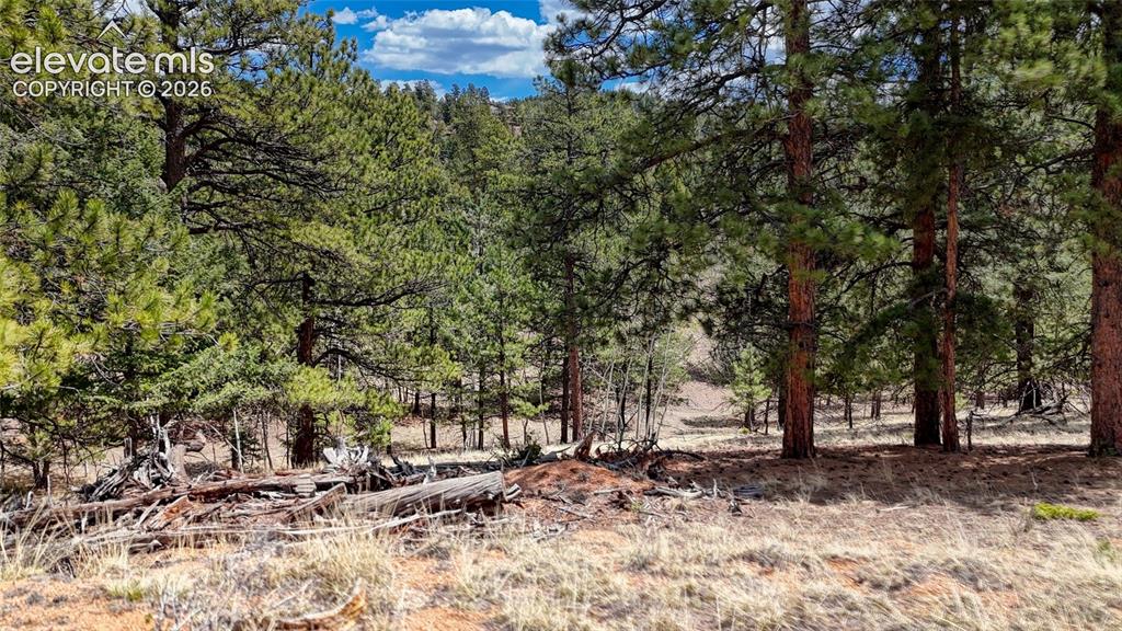 16 View Circle Florissant CO 80816