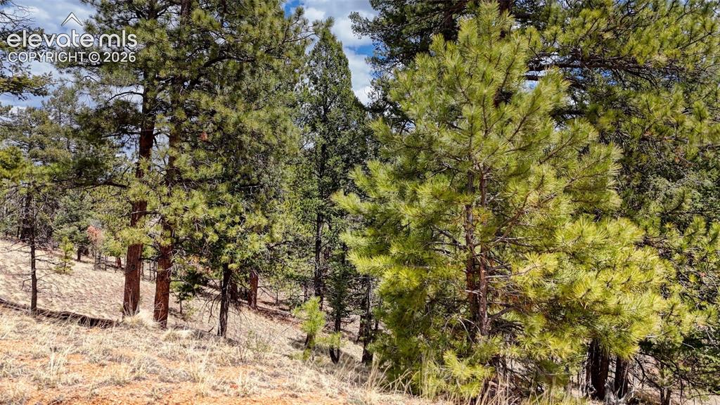 16 View Circle Florissant CO 80816