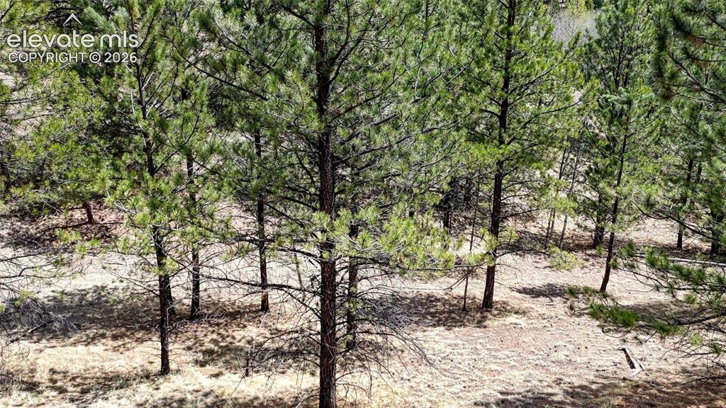 16 View Circle Florissant CO 80816