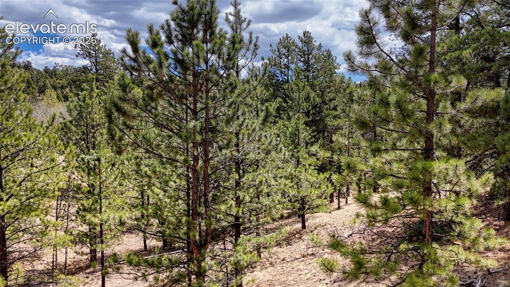 16 View Circle Florissant CO 80816
