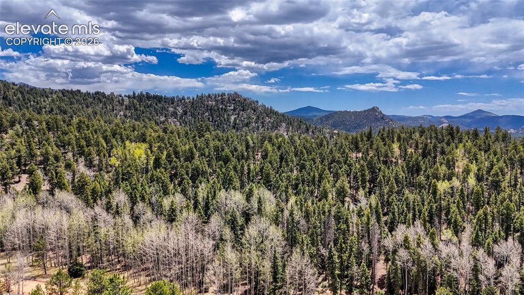 16 View Circle Florissant CO 80816