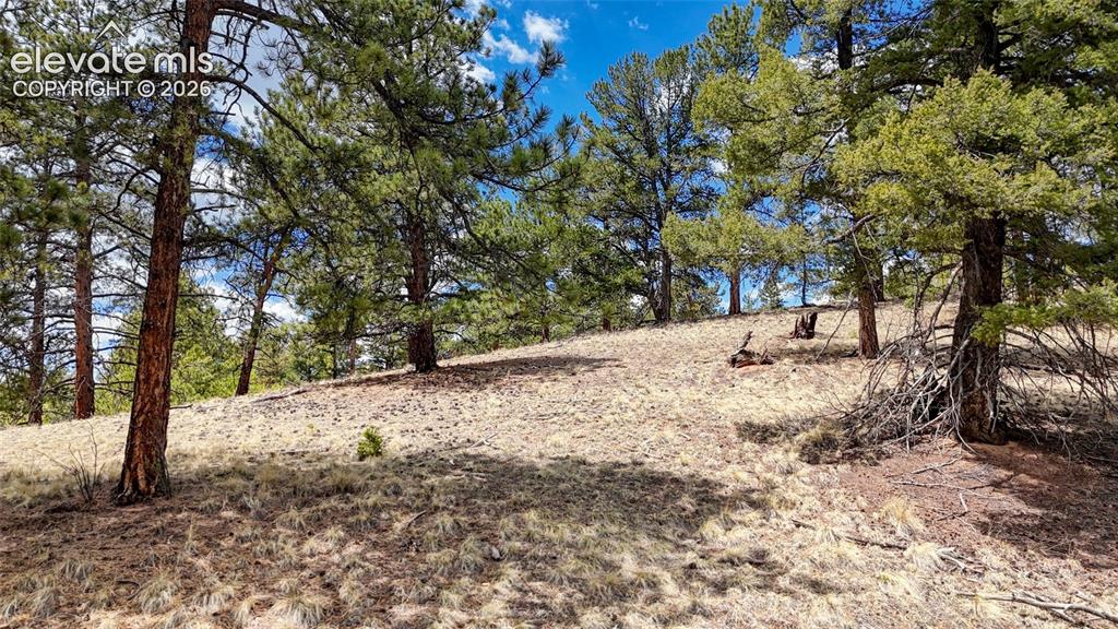 16 View Circle Florissant CO 80816