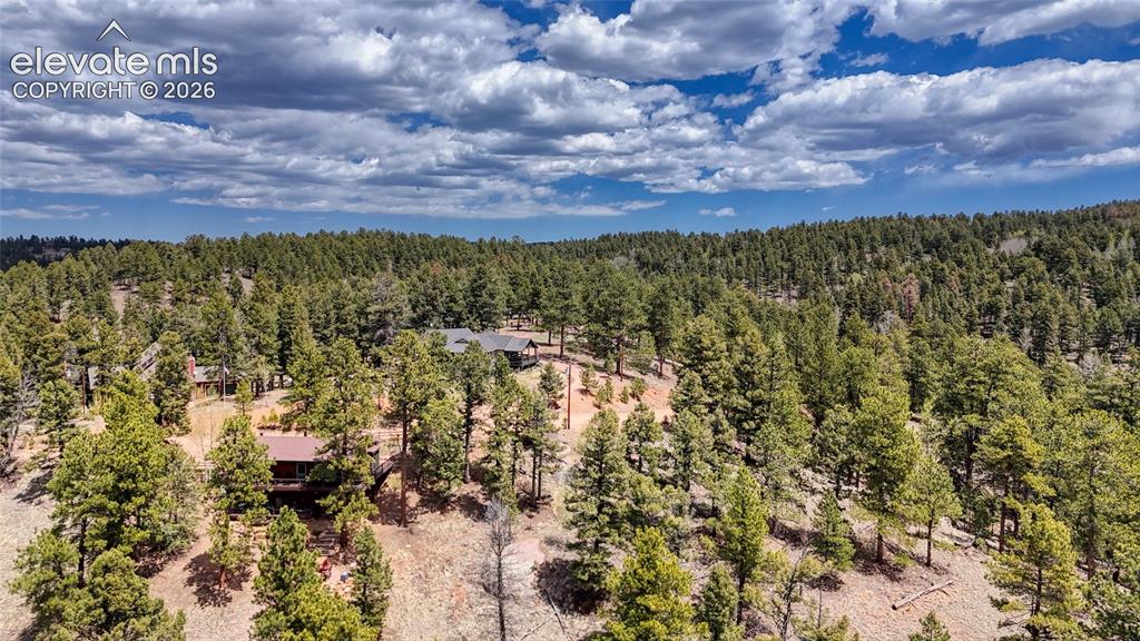 16 View Circle Florissant CO 80816