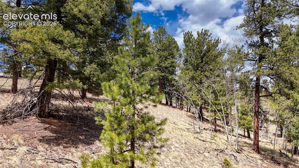 16 View Circle Florissant CO 80816