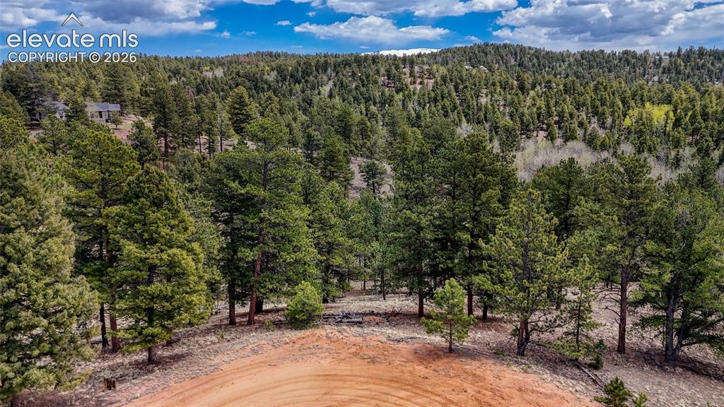 16 View Circle Florissant CO 80816