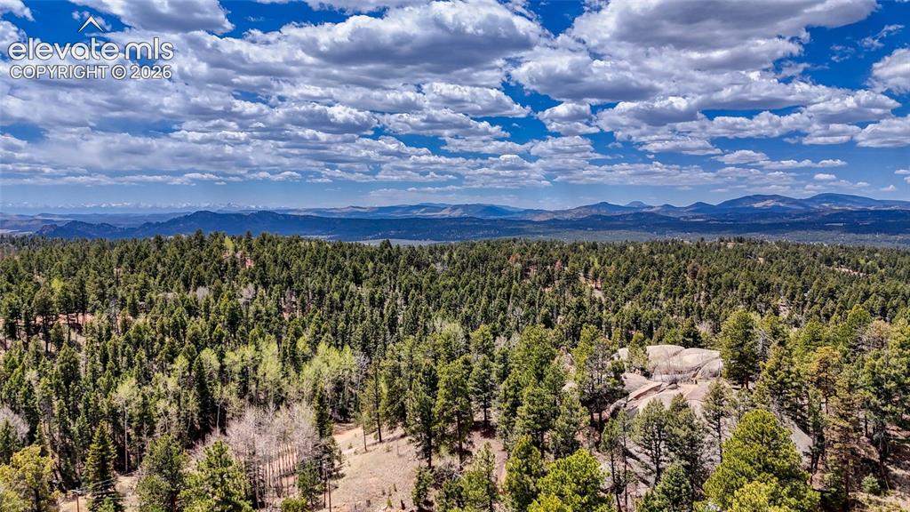 16 View Circle Florissant CO 80816