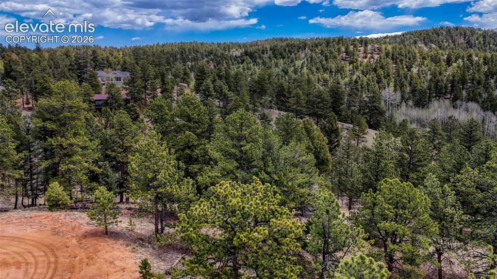16 View Circle Florissant CO 80816