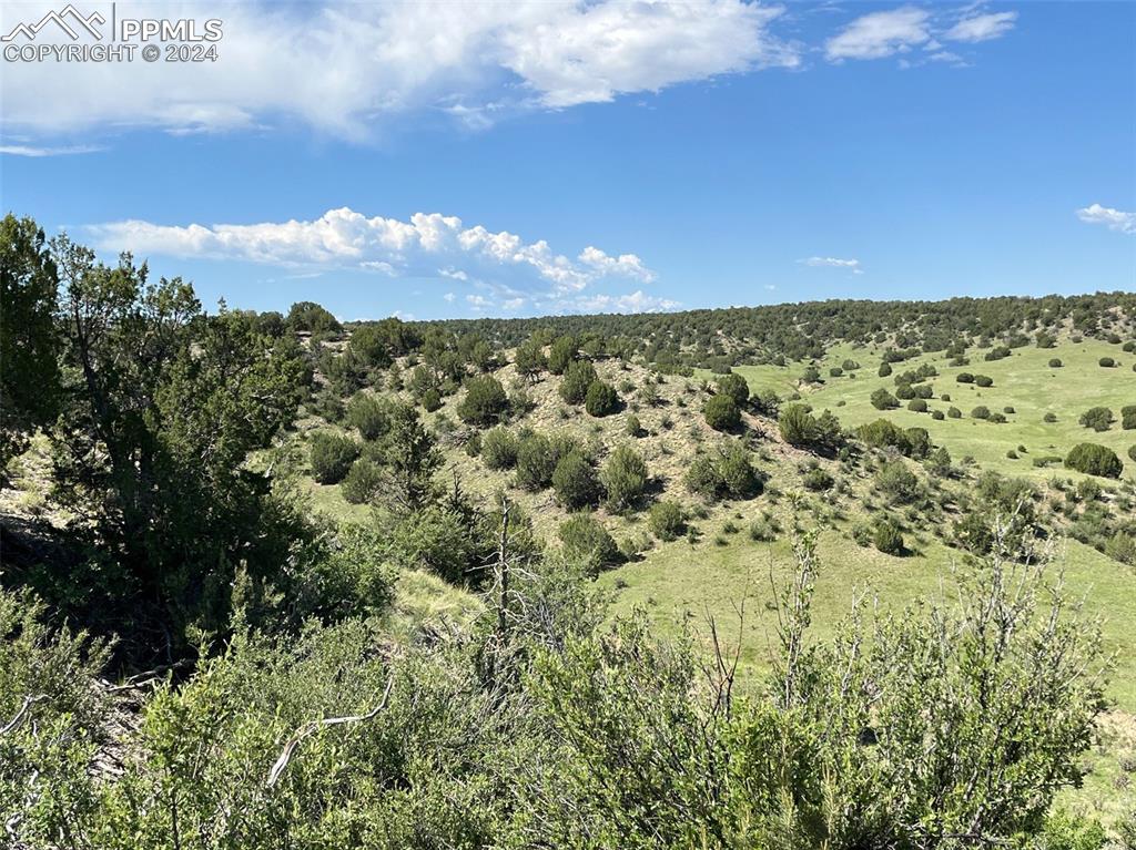 Railroad Springs Road Pueblo CO 81004
