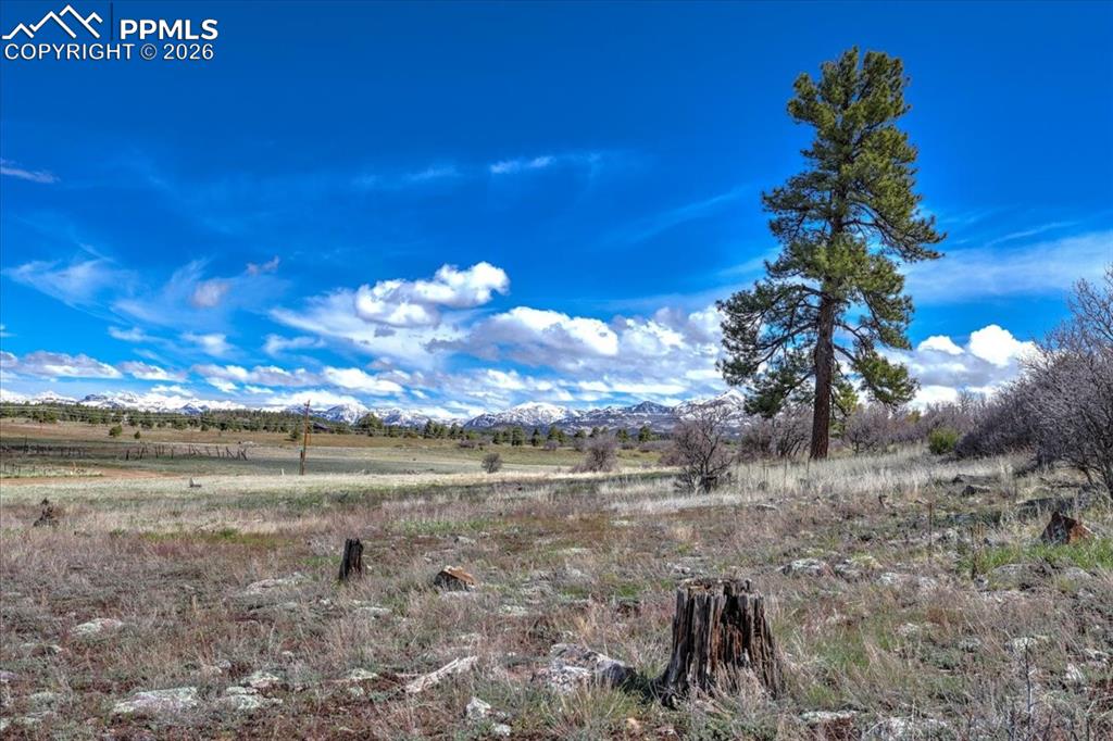 1234 Scenic Avenue Pagosa Springs CO 81147