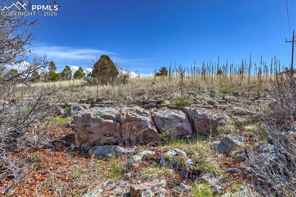 1234 Scenic Avenue Pagosa Springs CO 81147