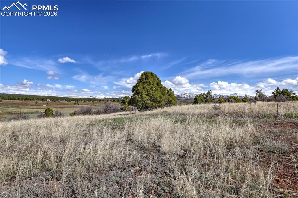 1234 Scenic Avenue Pagosa Springs CO 81147